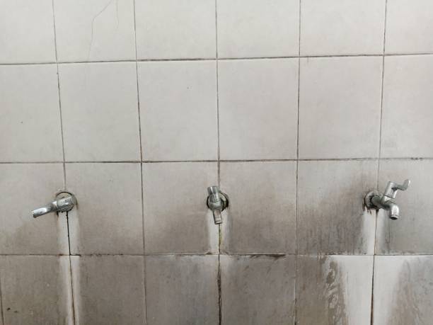 Best Water damage restoration insurance claims  in Janesville, MN