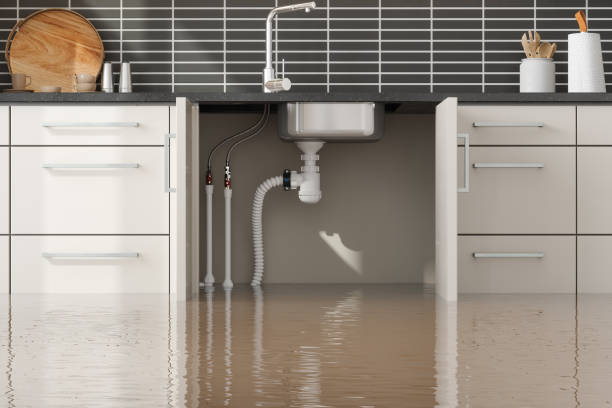 Best Flood restoration services  in Janesville, MN